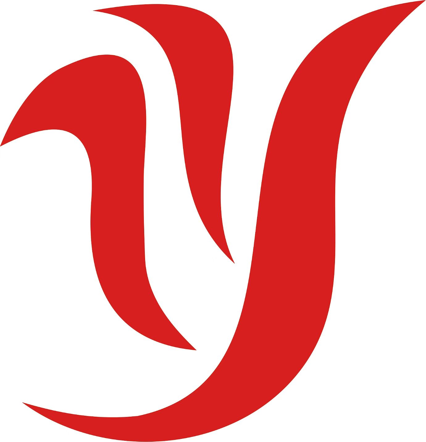 YongTing Women Swimwear